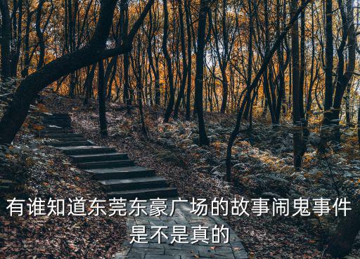 有誰(shuí)知道東莞東豪廣場(chǎng)的故事鬧鬼事件是不是真的