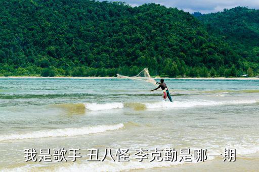 我是歌手 丑八怪 李克勤是哪一期