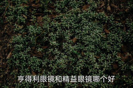 亨得利眼鏡和精益眼鏡哪個好
