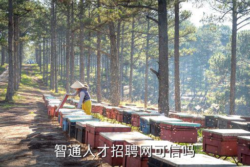 智通人才招聘網可信嗎