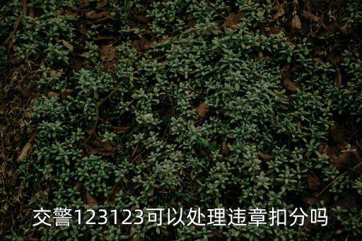 交警123123可以處理違章扣分嗎