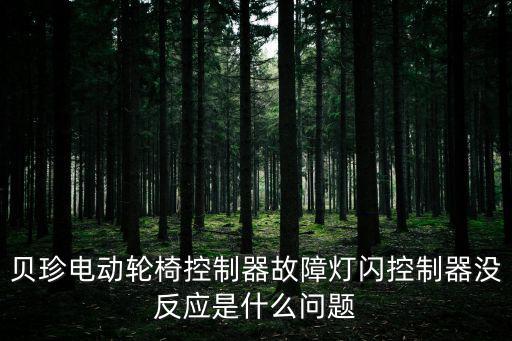 貝珍電動輪椅，上海貝珍電動輪椅車充電器插電時綠燈亮接上電瓶燈不亮了為什么百度