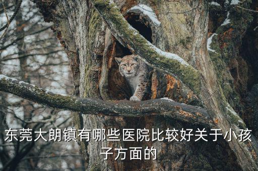 東莞大朗鎮有哪些醫院比較好關于小孩子方面的