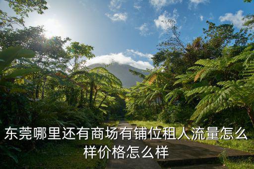 東莞哪里還有商場有鋪位租人流量怎么樣價格怎么樣