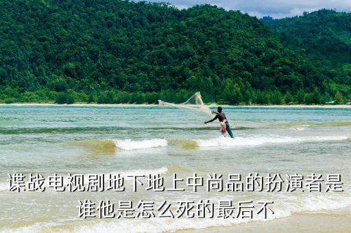 諜戰電視劇地下地上中尚品的扮演者是誰他是怎么死的最后不