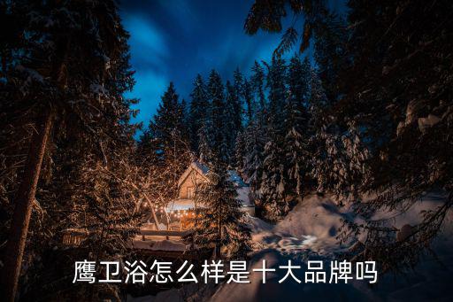鷹衛浴怎么樣是十大品牌嗎