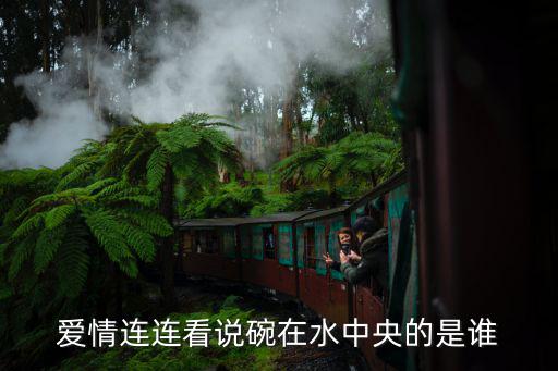 袁布，愛情連連看說碗在水中央的是誰