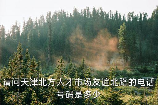 請問天津北方人才市場友誼北路的電話號碼是多少
