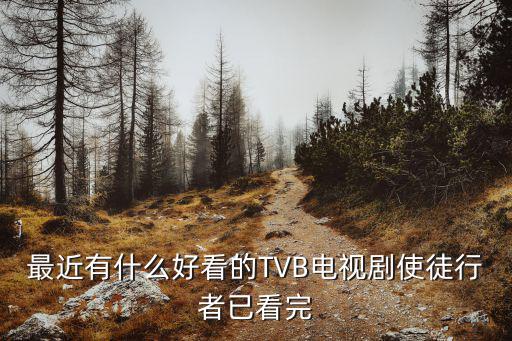 最近有什么好看的TVB電視劇使徒行者已看完