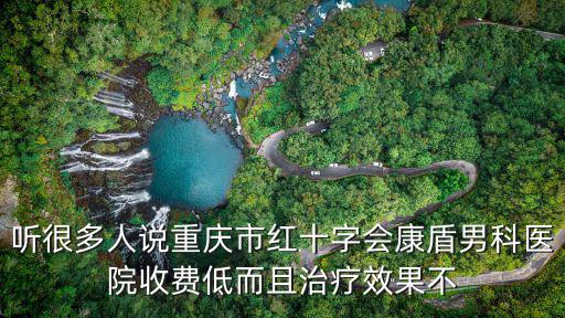 聽很多人說重慶市紅十字會康盾男科醫院收費低而且治療效果不