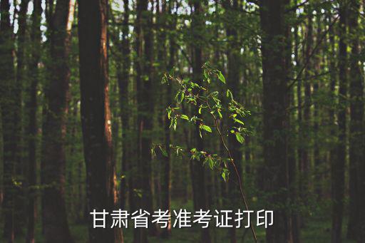 甘肅組工，甘肅省組織部干部一處處長具體負責什么