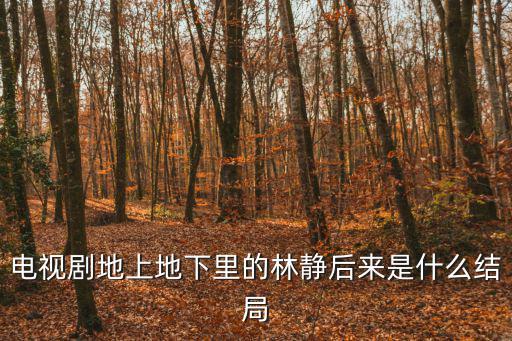 電視劇地上地下里的林靜后來是什么結局