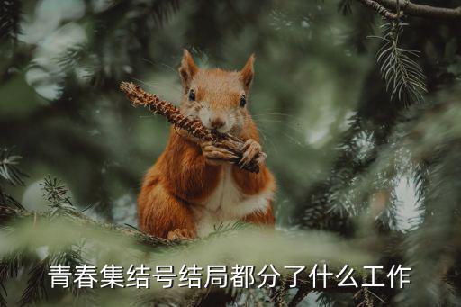 青春集結號結局都分了什么工作