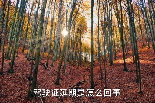 駕照延期，考駕照過期了能續期嗎