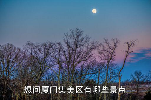 廈門集美，廈門集美區有哪些比較大的企業