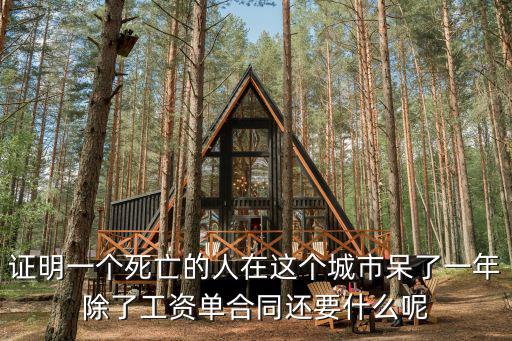 證明一個死亡的人在這個城市呆了一年除了工資單合同還要什么呢