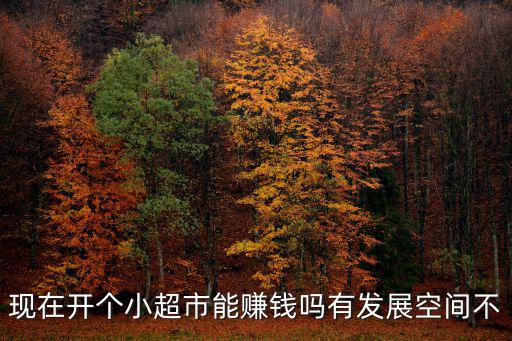 現(xiàn)在開個(gè)小超市能賺錢嗎有發(fā)展空間不