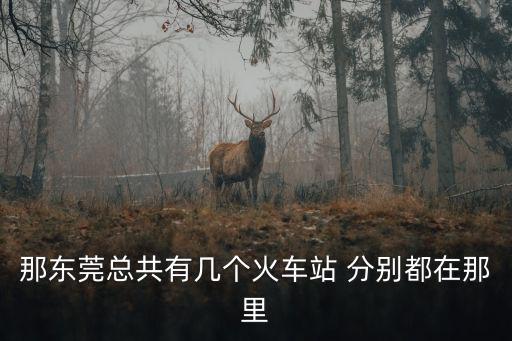 那東莞總共有幾個火車站 分別都在那里