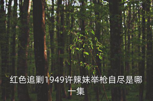 紅色追剿1949許辣妹舉槍自盡是哪一集