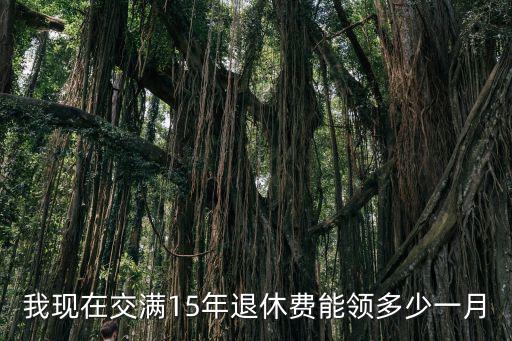 我現在交滿15年退休費能領多少一月