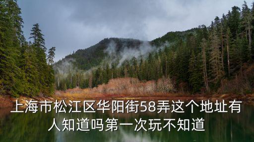 上海市松江區華陽街58弄這個地址有人知道嗎第一次玩不知道
