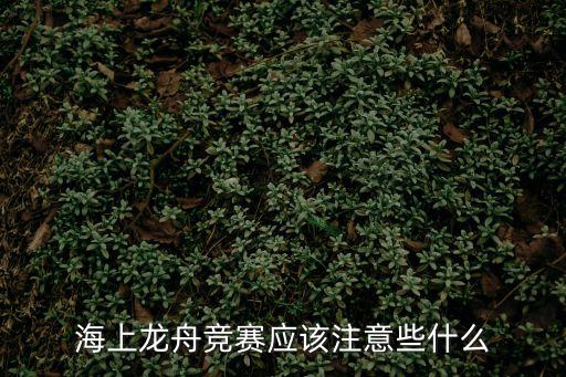 龍舟競賽，海上龍舟競賽應該注意些什么