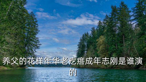 養父的花樣年華老疙瘩成年志剛是誰演的