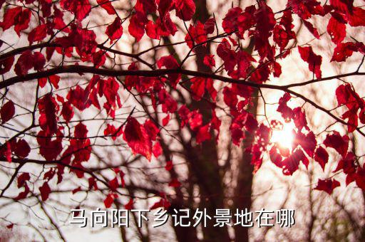 馬向陽(yáng)下鄉(xiāng)記外景地在哪