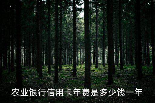 農業銀行信用卡年費是多少錢一年