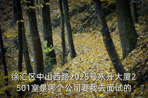 徐匯區(qū)中山西路2025號永升大廈2501室是哪個公司要我去面試的