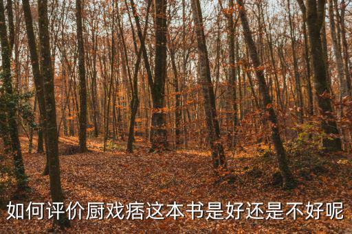 如何評價廚戲痞這本書是好還是不好呢