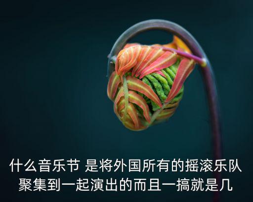 什么音樂節(jié) 是將外國所有的搖滾樂隊聚集到一起演出的而且一搞就是幾