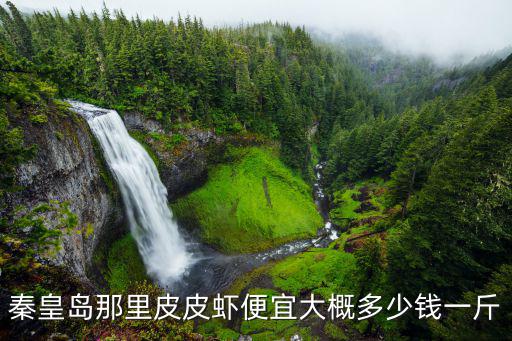 皮皮蝦多少錢一斤，蝦菇干皮皮蝦時(shí)價(jià)多少