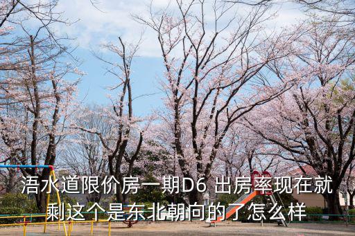 浯水道限價房一期D6 出房率現在就剩這個是東北朝向的了怎么樣