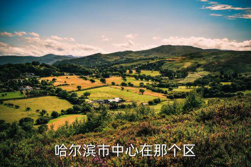 哈爾濱市中心，哈爾濱市中心在那個區