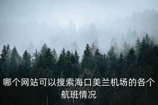 哪個(gè)網(wǎng)站可以搜索海口美蘭機(jī)場(chǎng)的各個(gè)航班情況