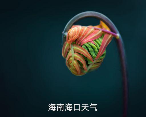海南海口天氣