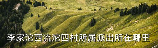 李家沱西流沱四村所屬派出所在哪里