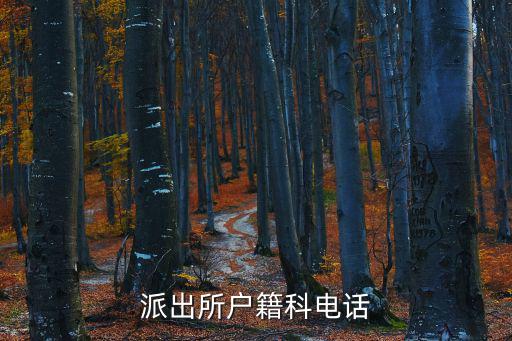 公安局戶籍科電話，派出所戶籍科電話