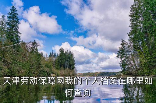 天津勞動保障網我的個人檔案在哪里如何查詢