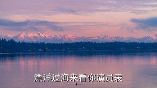 漂洋過(guò)海來(lái)看你演員表