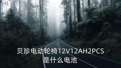 貝珍電動(dòng)輪椅12V12AH2PCS是什么電池