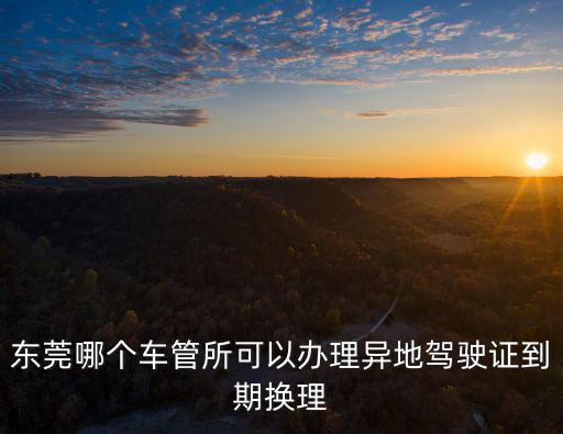 東莞哪個車管所可以辦理異地駕駛證到期換理