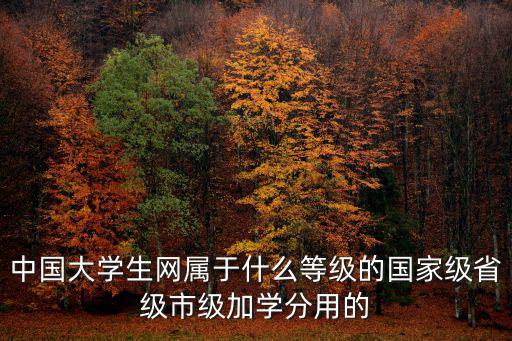中國(guó)大學(xué)生網(wǎng)屬于什么等級(jí)的國(guó)家級(jí)省級(jí)市級(jí)加學(xué)分用的