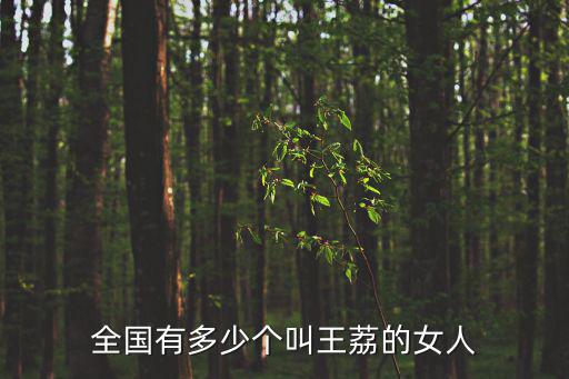 全國有多少個叫王荔的女人