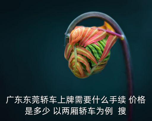 東莞汽車上牌，廣東東莞轎車上牌需要什么手續(xù) 價(jià)格是多少 以兩廂轎車為例  搜