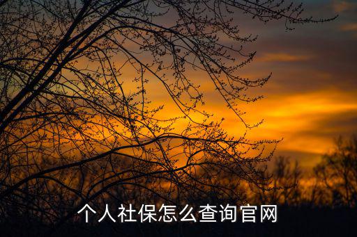 個人社保怎么查詢官網(wǎng)