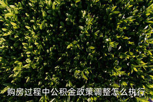 政策執(zhí)行，民族政策的施行對我國的發(fā)展起到了什么積極作用