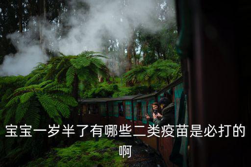 寶寶一歲半了有哪些二類疫苗是必打的啊