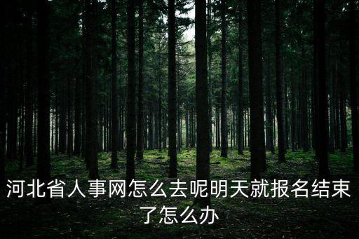 河北省人事網怎么去呢明天就報名結束了怎么辦